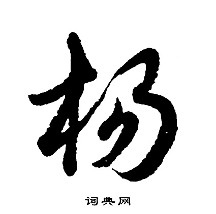 杨 师傅